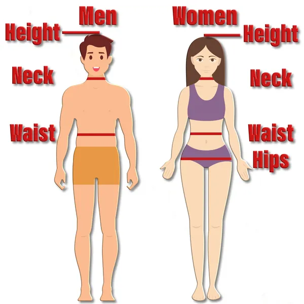 ποσοστό σωματικού λίπους